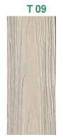 T 09